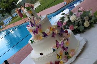 Bar Pasticceria Nando - 8