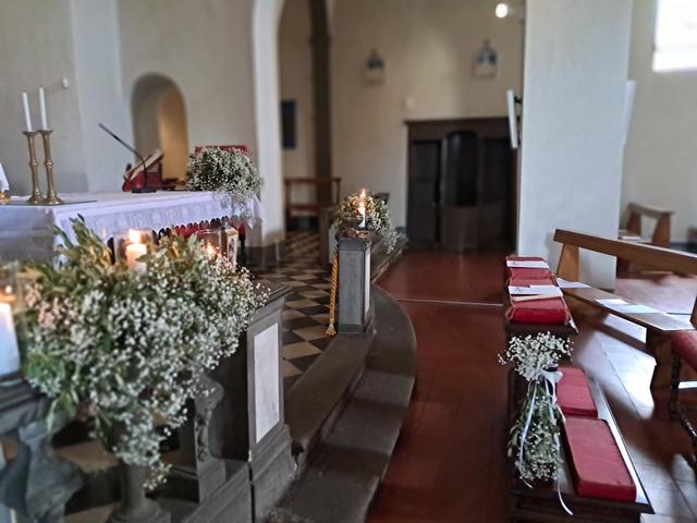 La Fioreria di Sesto Verde - 4