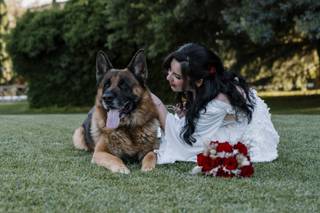 Le Cat e Dog Sitter - Wedding - 6