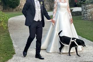 Asia's Friends Doggy Events - 5