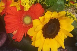 Rosa Antico di Tedoldi Stefania - 8