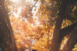 Ylenia Tajarol Photography - 9