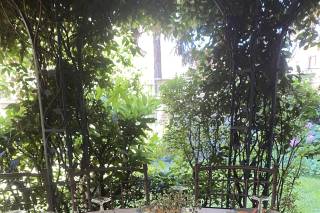 Il Tuo Pollice Verde - 15