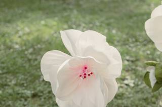 Villa Razzolini Loredan - 8