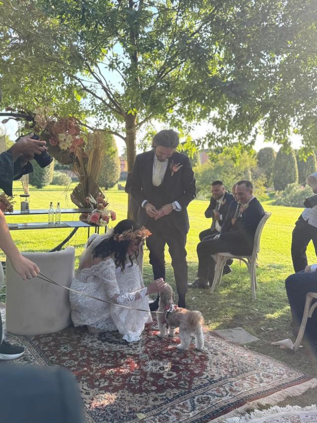 Oh my dog wedding - 1