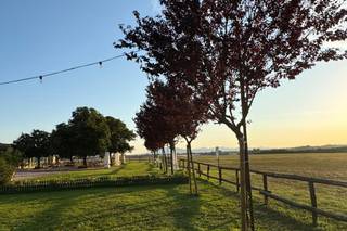 La Polledrara - Relais di campagna - 9