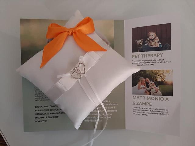 Matrimonio a 6 Zampe - 3