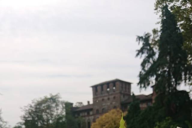 Castello di Piovera 2