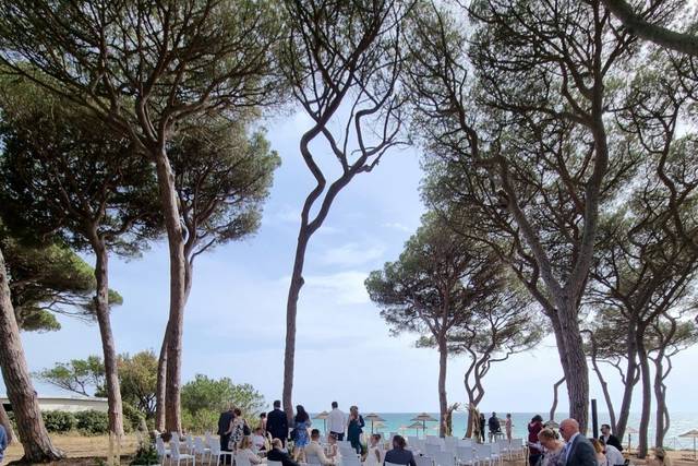Beachrock 5