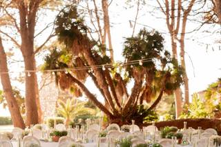 Exclusive Catering - 7