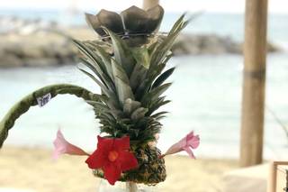 Zing Shisha - Servizio narghilè - 9