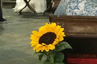 Zublena Roberta Fiori - 25