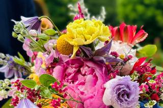 Il giardino delle meraviglie - 15