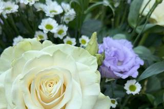 Regina di Fiori Event - 6
