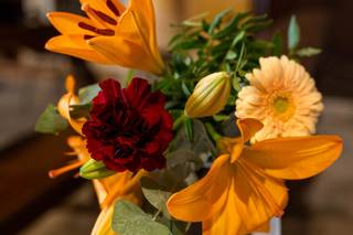 Emozioni Fiorite - 5