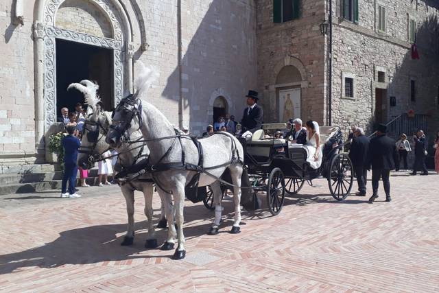 Il Vetturino di Proietti Coraggi Christian 4