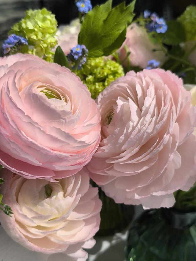 Erica Flower Studio - 4