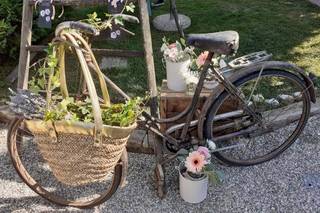 Raffaella Ferrari - 18