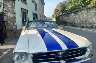Classic GT - 8