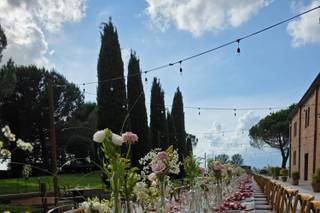 FC Fiori e Piante - 5