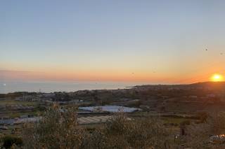 Villa Cecilia - 15