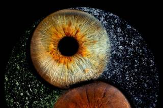 Piero Fattizzo Photographer - 8