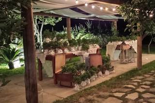 Centro Bonsai Iodice - 16