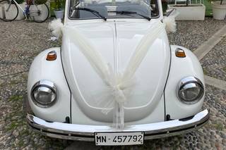 Limousine & Rental Service - 1