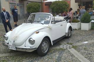 Limousine & Rental Service - 2