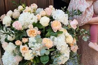 Gardenia - 6