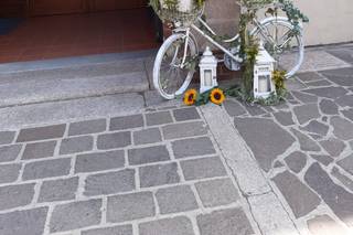 Rosa Antico di Tedoldi Stefania - 7