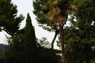 Villa Carlo Boccolini - 10