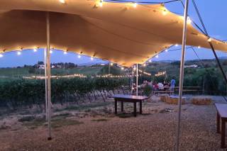 Tenuta Raffaellina - 5