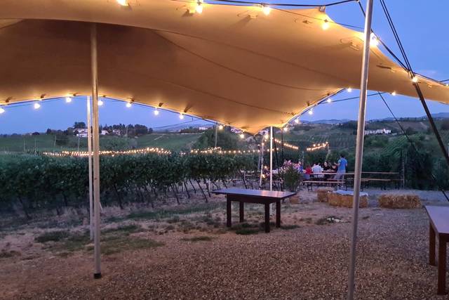 Tenuta Raffaellina 1