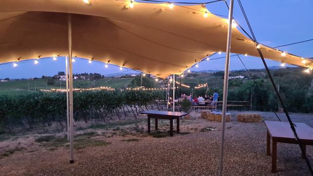 Tenuta Raffaellina - 1