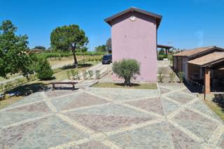 Tenuta Raffaellina - 6