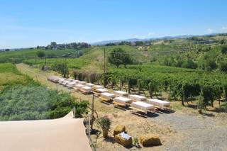 Tenuta Raffaellina - 7