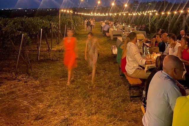 Tenuta Raffaellina 5