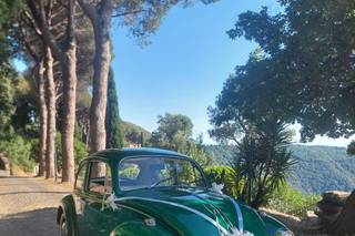 Noleggio Story - 5