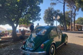 Noleggio Story - 6
