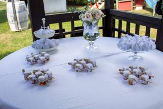 M. M. Apicoltura - 14