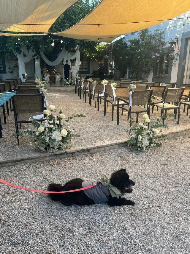 Selvària Wedding & Events - 2