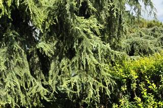 Quartetto Gershwin - 4