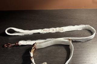 BowPawTie Accessori per Cani - 14