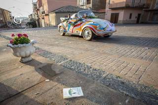 Maggiolino Brillo - 19