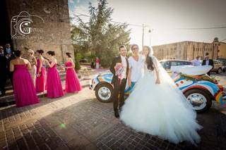 Maggiolino Brillo - 20