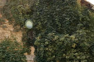 Pometta Photographer - 10