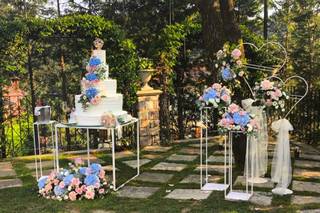 Tironi Bruno Fiori - 13