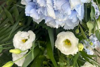 NC Flowers di Cavallaro Antonino - 8