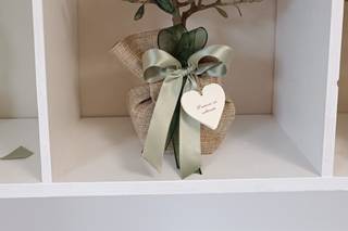 Centro Bonsai Iodice - 11